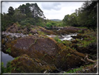 foto Parco di Killarney